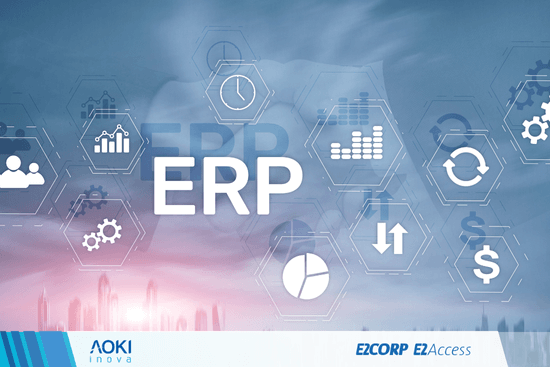 Vantagens do E2Corp e E2Access para indústrias